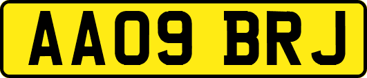 AA09BRJ