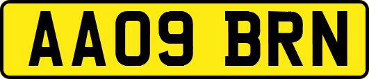 AA09BRN