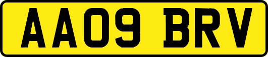 AA09BRV