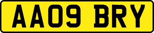 AA09BRY