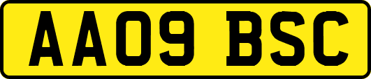AA09BSC