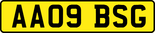 AA09BSG