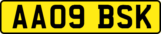 AA09BSK