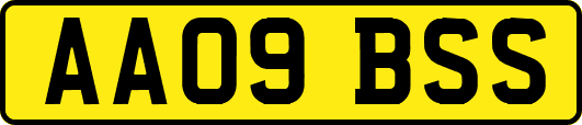 AA09BSS