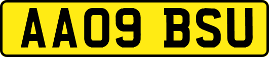 AA09BSU