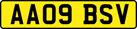 AA09BSV