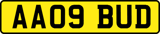 AA09BUD