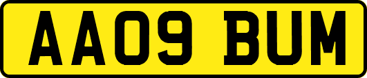 AA09BUM