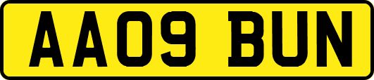 AA09BUN