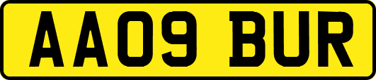 AA09BUR
