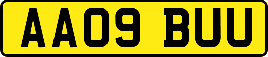 AA09BUU