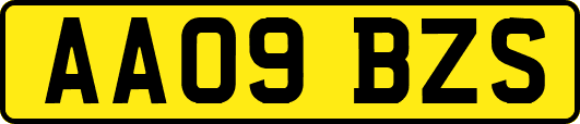 AA09BZS