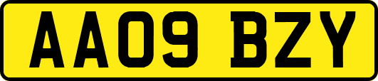 AA09BZY