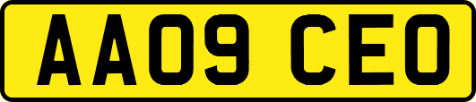 AA09CEO