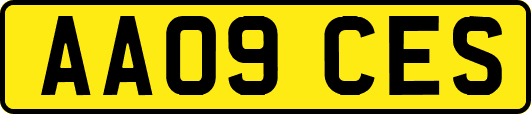 AA09CES