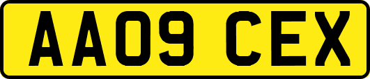 AA09CEX