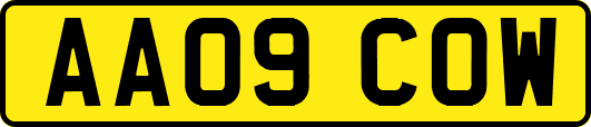 AA09COW