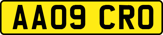 AA09CRO