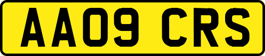 AA09CRS