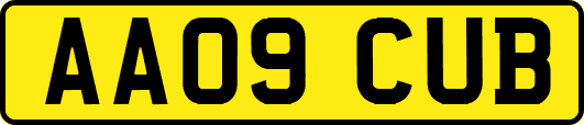 AA09CUB