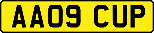 AA09CUP