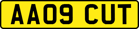 AA09CUT