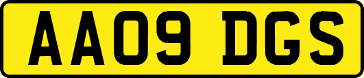 AA09DGS