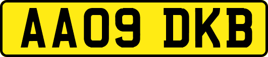 AA09DKB