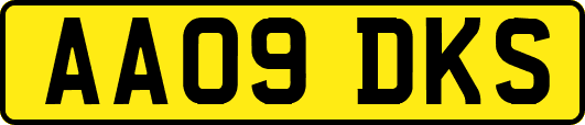 AA09DKS