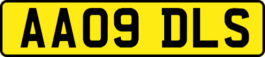AA09DLS