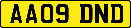 AA09DND