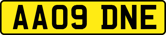 AA09DNE