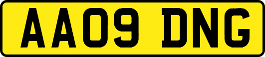 AA09DNG