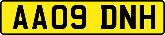 AA09DNH