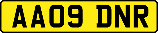 AA09DNR