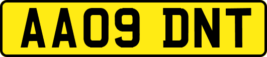 AA09DNT