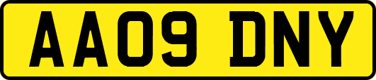 AA09DNY
