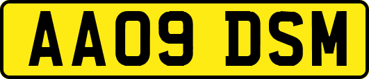 AA09DSM