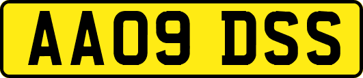 AA09DSS