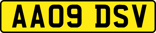 AA09DSV