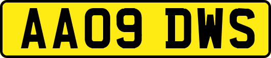 AA09DWS