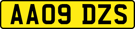 AA09DZS