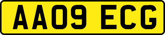 AA09ECG