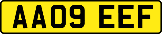 AA09EEF