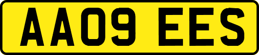 AA09EES