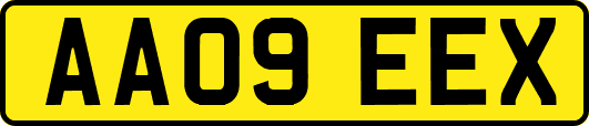 AA09EEX
