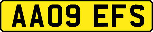 AA09EFS