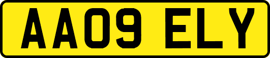 AA09ELY