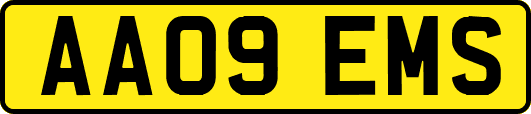 AA09EMS