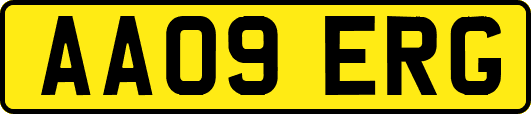 AA09ERG